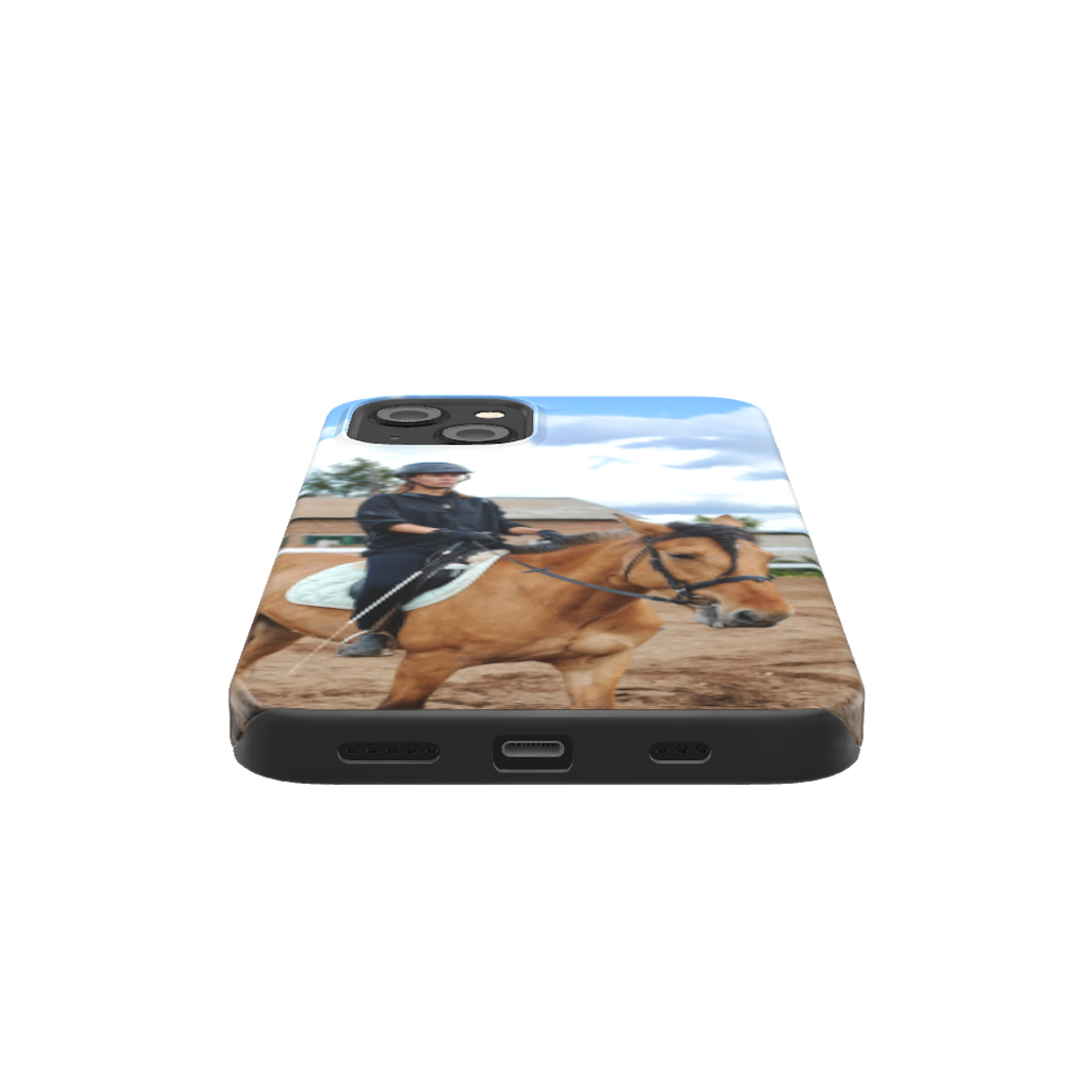 Horse Case 2